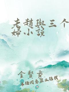 老赵与三个儿媳妇小说