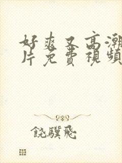 好爽又高潮了毛片免费视频