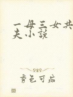 一母三女共侍一夫小说