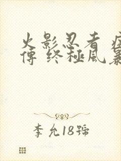 火影忍者 疾风传 终极风暴 火影忍者 疾风传 终极风暴