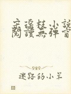 宋瑶枝小说免费阅读无弹窗最新章节