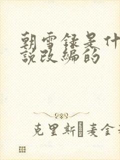 朝雪录是什么小说改编的