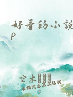 好看的小说app
