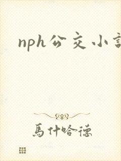 nph公交小说