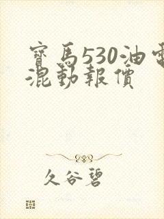 宝马530油电混动报价
