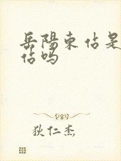 岳阳东站是高铁站吗