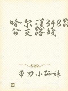 哈尔滨348路公交路线