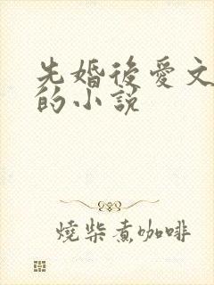 先婚后爱文笔好的小说 先婚后爱文笔好的小说