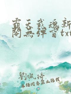 霸天武魂新笔趣阁无弹窗txt