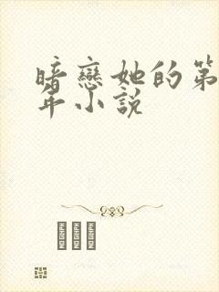 暗恋她的第十一年小说