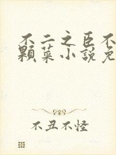 不二之臣不止是颗菜小说免费阅读全文无删减