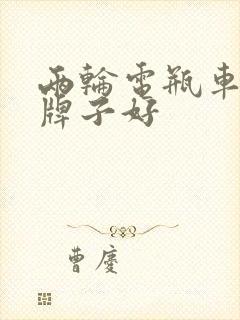 两轮电瓶车哪个牌子好