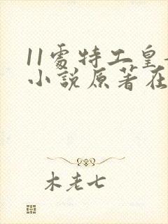 11处特工皇妃小说原著在哪里看