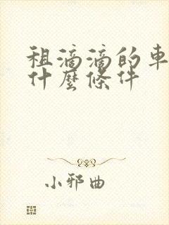 租滴滴的车需要什么条件