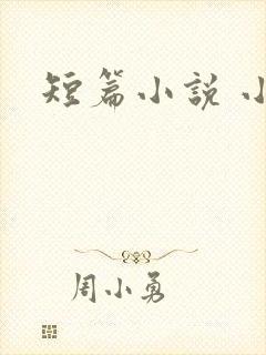 短篇小说 小说