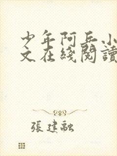 少年阿兵小说全文在线阅读