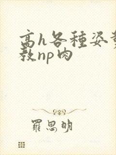 高h各种姿势调教np肉