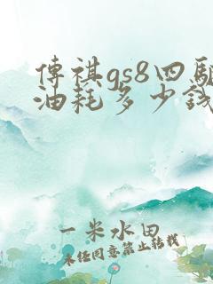 传祺gs8四驱油耗多少钱一公里