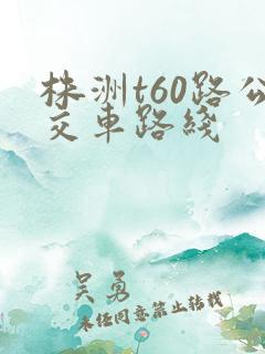株洲t60路公交车路线