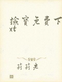 捡宝免费下载txt