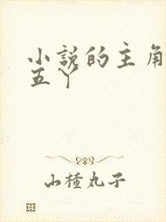 小说的主角叫李五丫