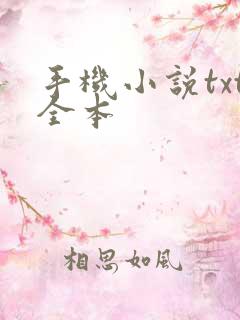 手机小说txt全本 手机小说txt全本