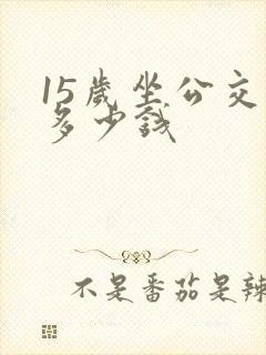 15岁坐公交车多少钱