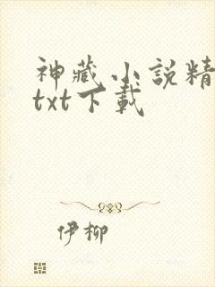 神藏小说精校版txt下载