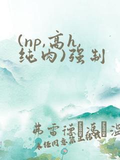 (np,高h,纯肉)强制