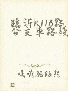 临沂k116路公交车路线图
