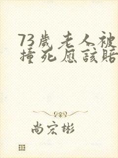 73岁老人被车撞死应该赔偿多少钱