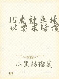 15岁被车撞可以要求赔偿什么