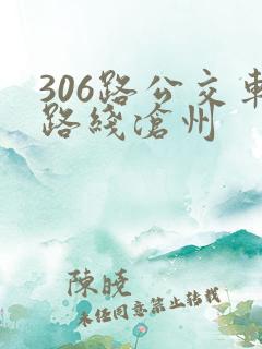 306路公交车路线沧州