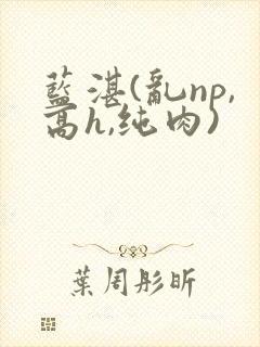蓝湛(乱np,高h,纯肉)