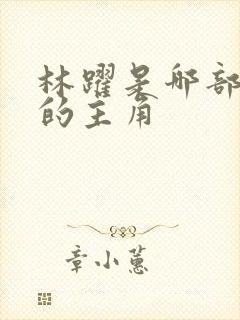 林跃是哪部小说的主角