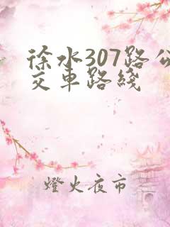 徐水307路公交车路线