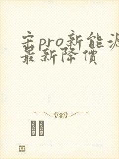 宋pro新能源最新降价