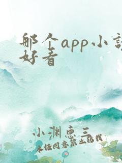 那个app小说好看