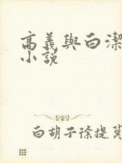 高义与白洁完整小说