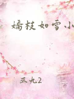 娇枝如雪小说