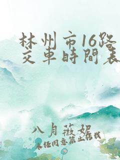 林州市16路公交车时间表