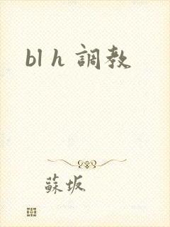 bl h 调教