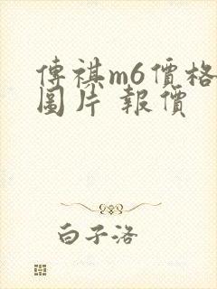传祺m6价格及图片 报价