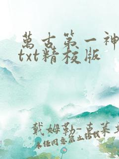 万古第一神小说txt精校版