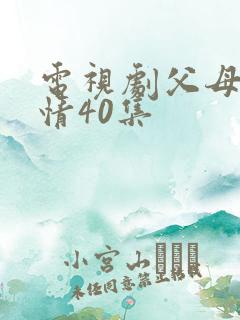 电视剧父母的爱情40集