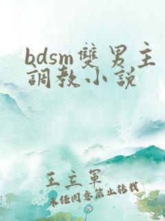 bdsm双男主调教小说