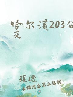 哈尔滨203公交