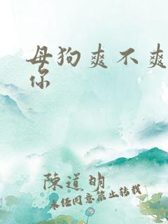 母狗爽不爽操死你