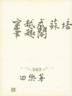 穿越成苏培盛了笔趣阁