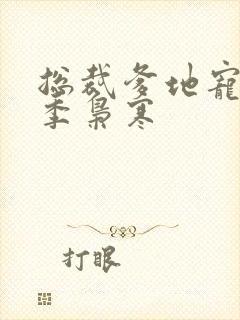 总裁爹地宠上天季枭寒
